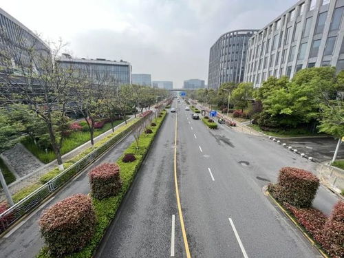 閔行區新增8條精品道路，累計創建33條，道路設施全面升級